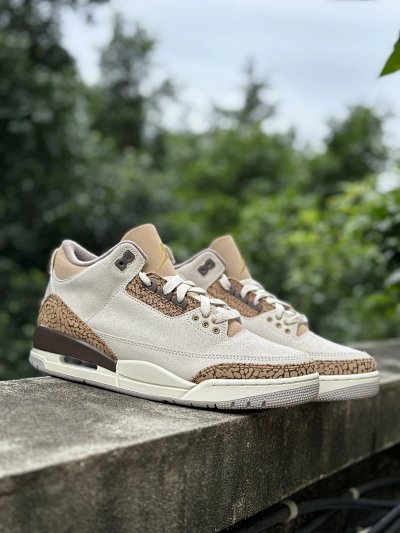 Nike Air Jordan 3 Retro Beige Brown Basketball Shoes
