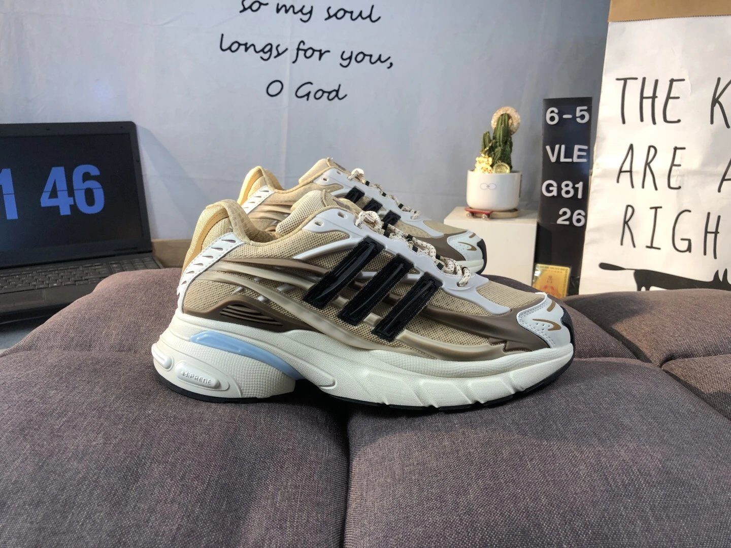 Adidas Originals Ozweego Beige Black Chunky Running Shoes